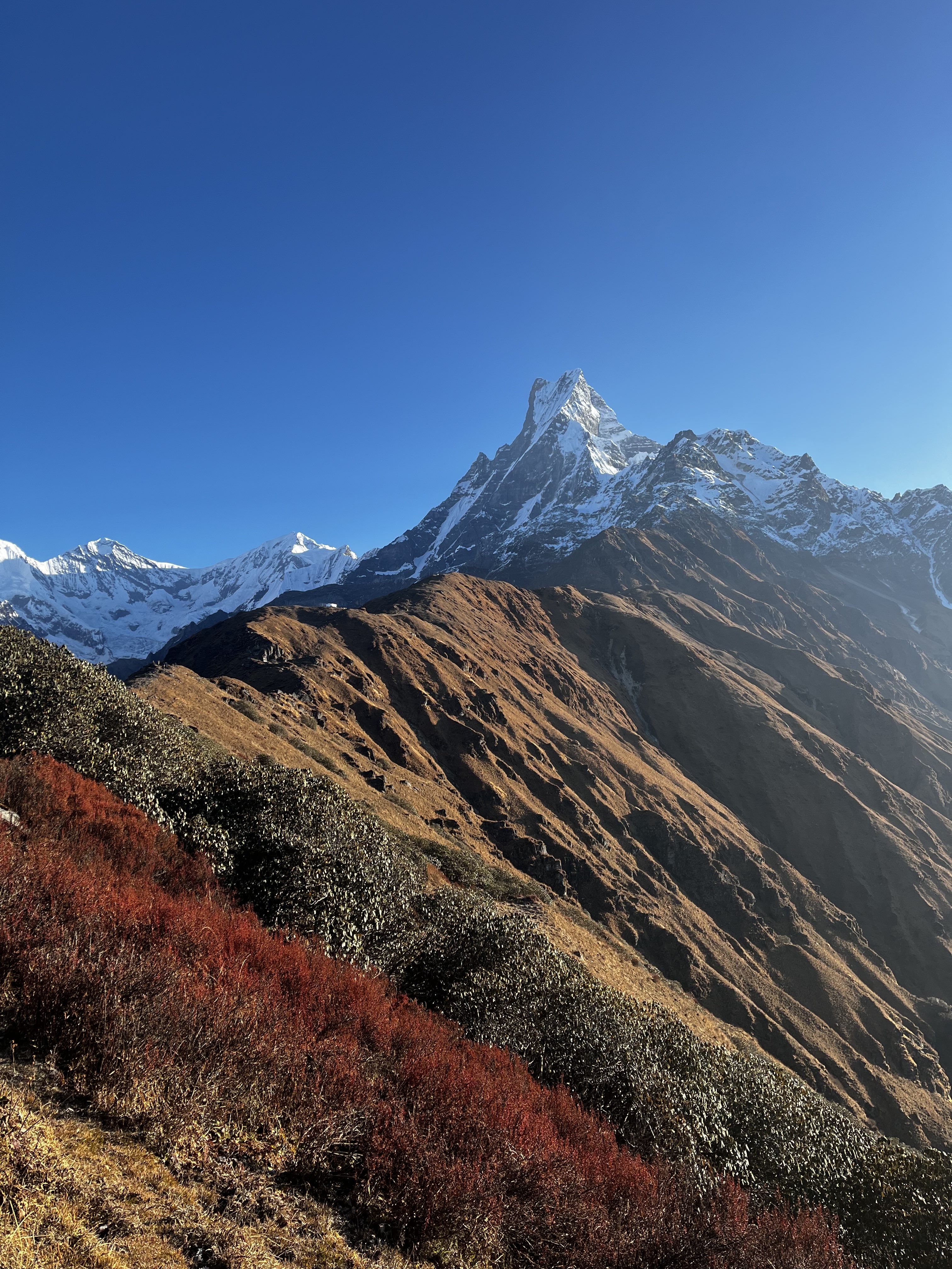 Mardi Himal High Camp